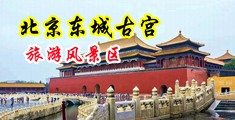 用力操小骚屄啊啊啊无码在线中国北京-东城古宫旅游风景区